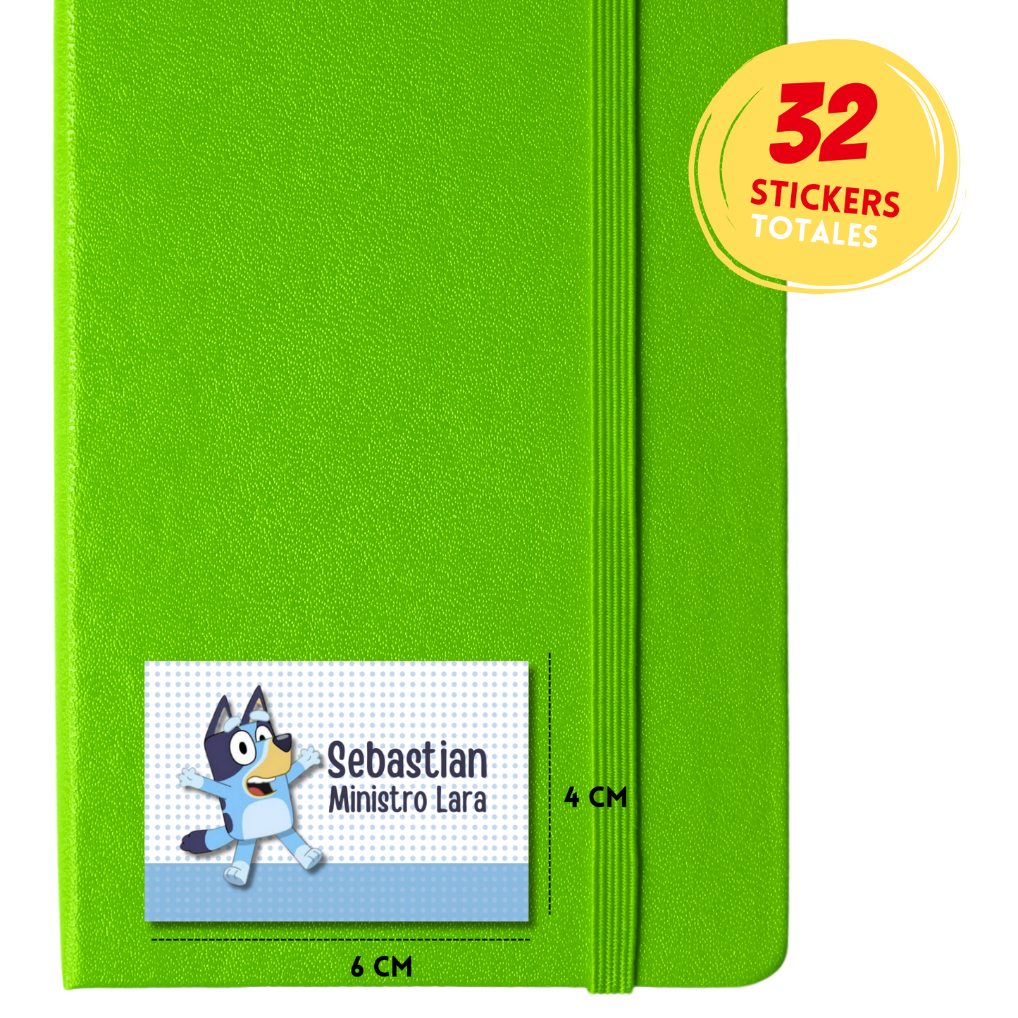 Bluey Personalized School Labels Notebooks, Books and Pencils 