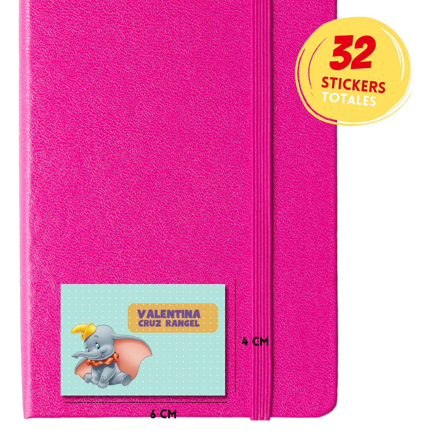 Dumbo Personalized School Labels Notebooks, Books and Pencils 