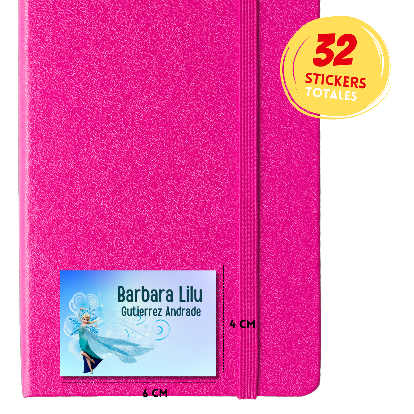 Frozen Elsa Personalized School Labels Notebooks, Books and Pencils 