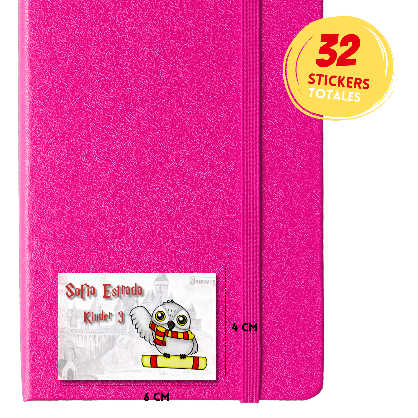 Hedwig Cartoon Personalized School Labels Notebooks, Books and Pencils 