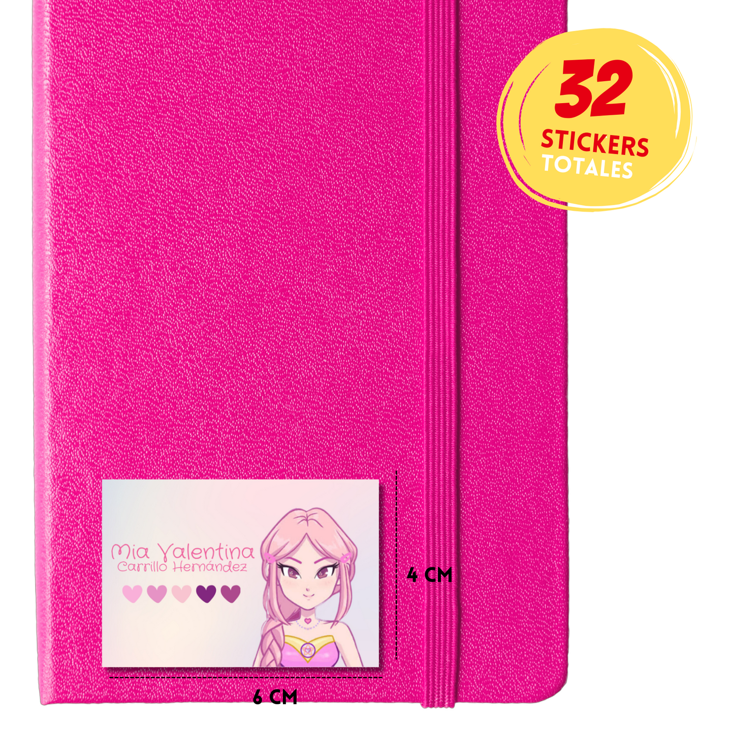 Luli Pampín Caricature Personalized School Labels Notebooks, Books and Pencils 