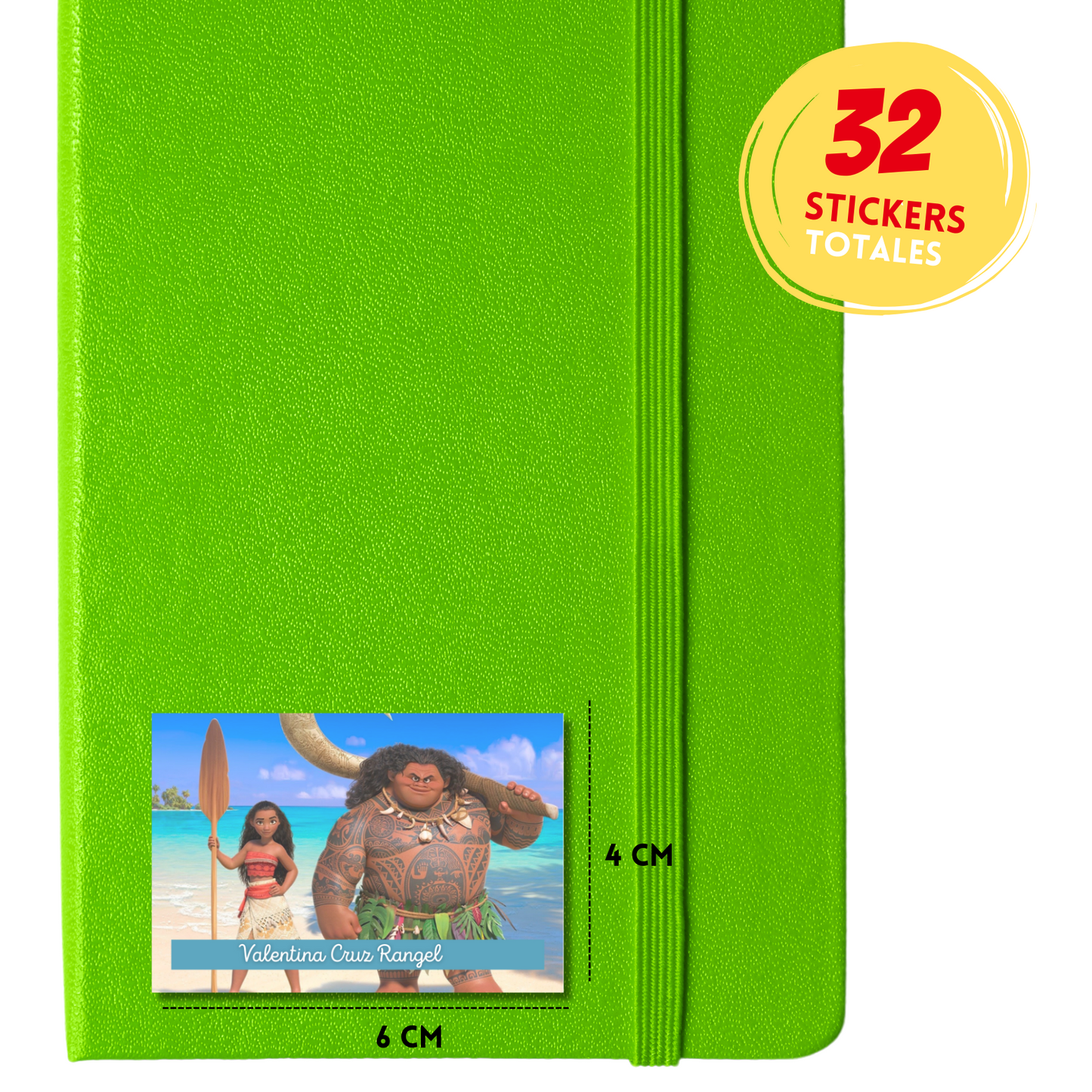 Moana &amp; Maui Personalized School Labels Notebooks, Books and Pencils 