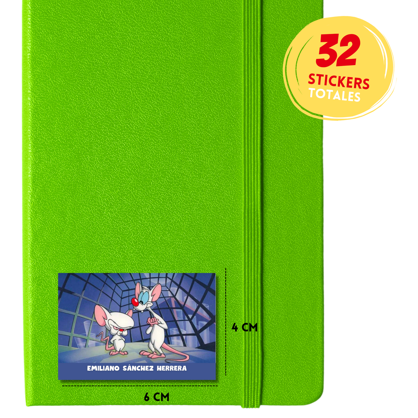 Ajolotito Personalized School Labels Notebooks, Books and Pencils 