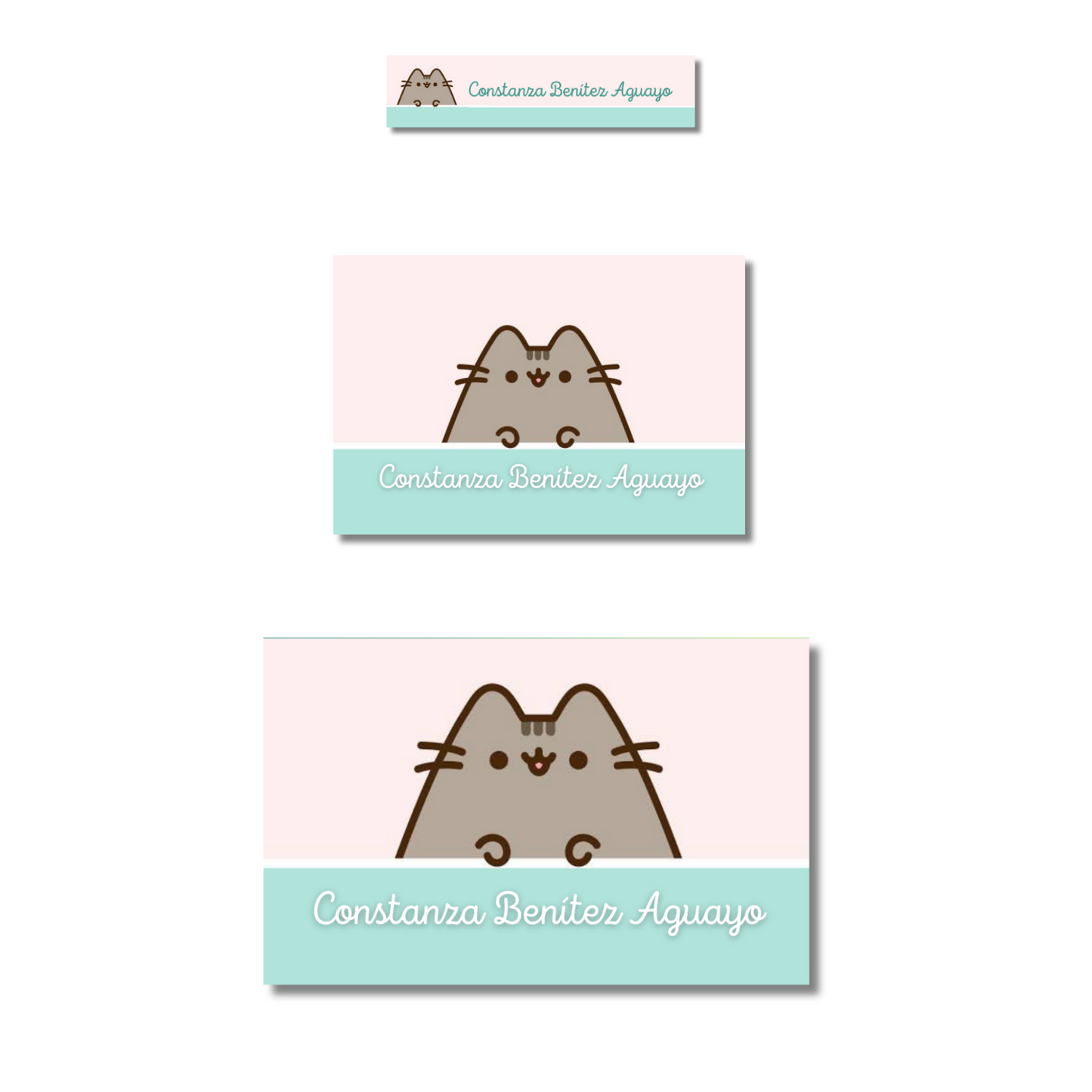 Pusheen Personalized School Labels Notebooks, Books and Pencils 