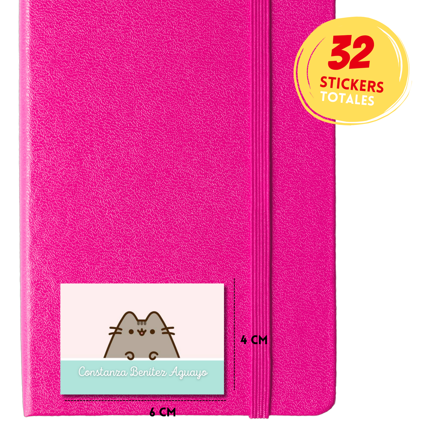 Pusheen Personalized School Labels Notebooks, Books and Pencils 