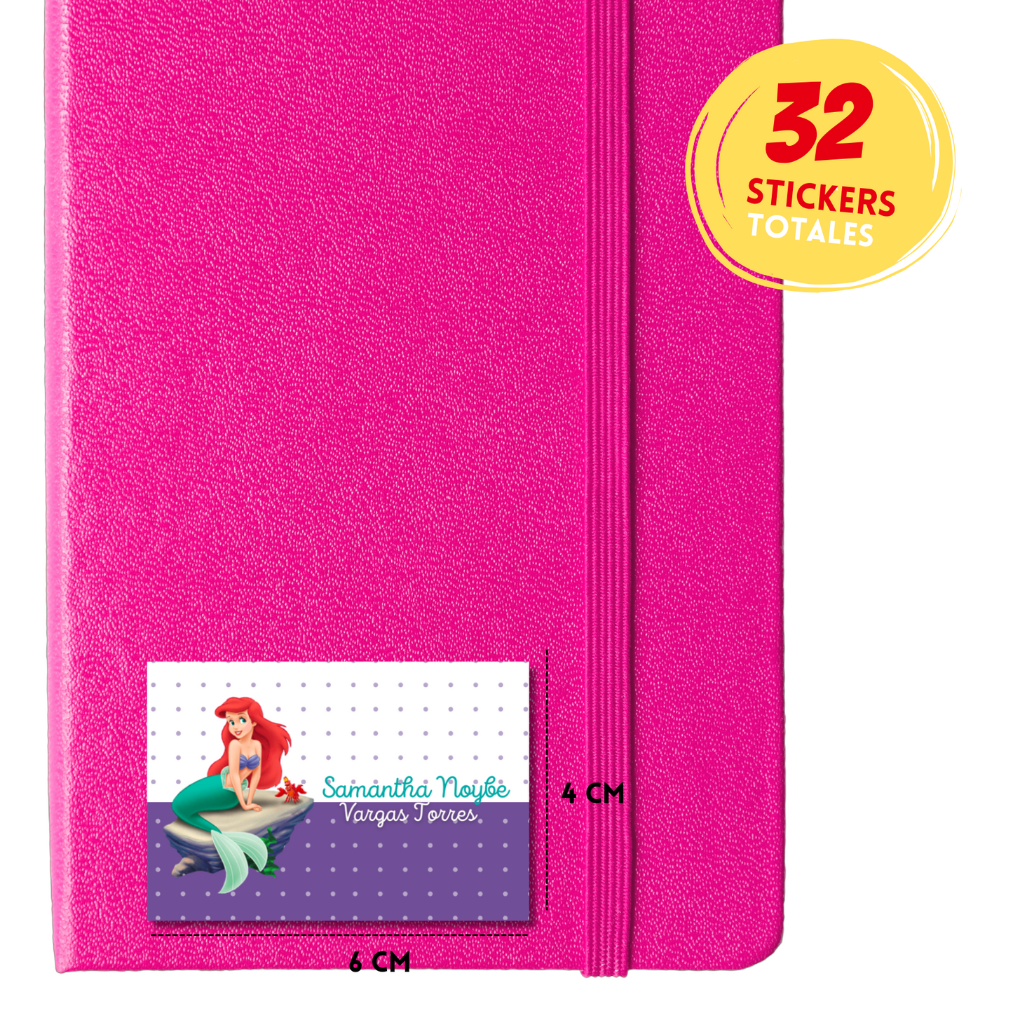 Little Mermaid &amp; Sebastian Personalized School Labels Notebooks, Books and Pencils 