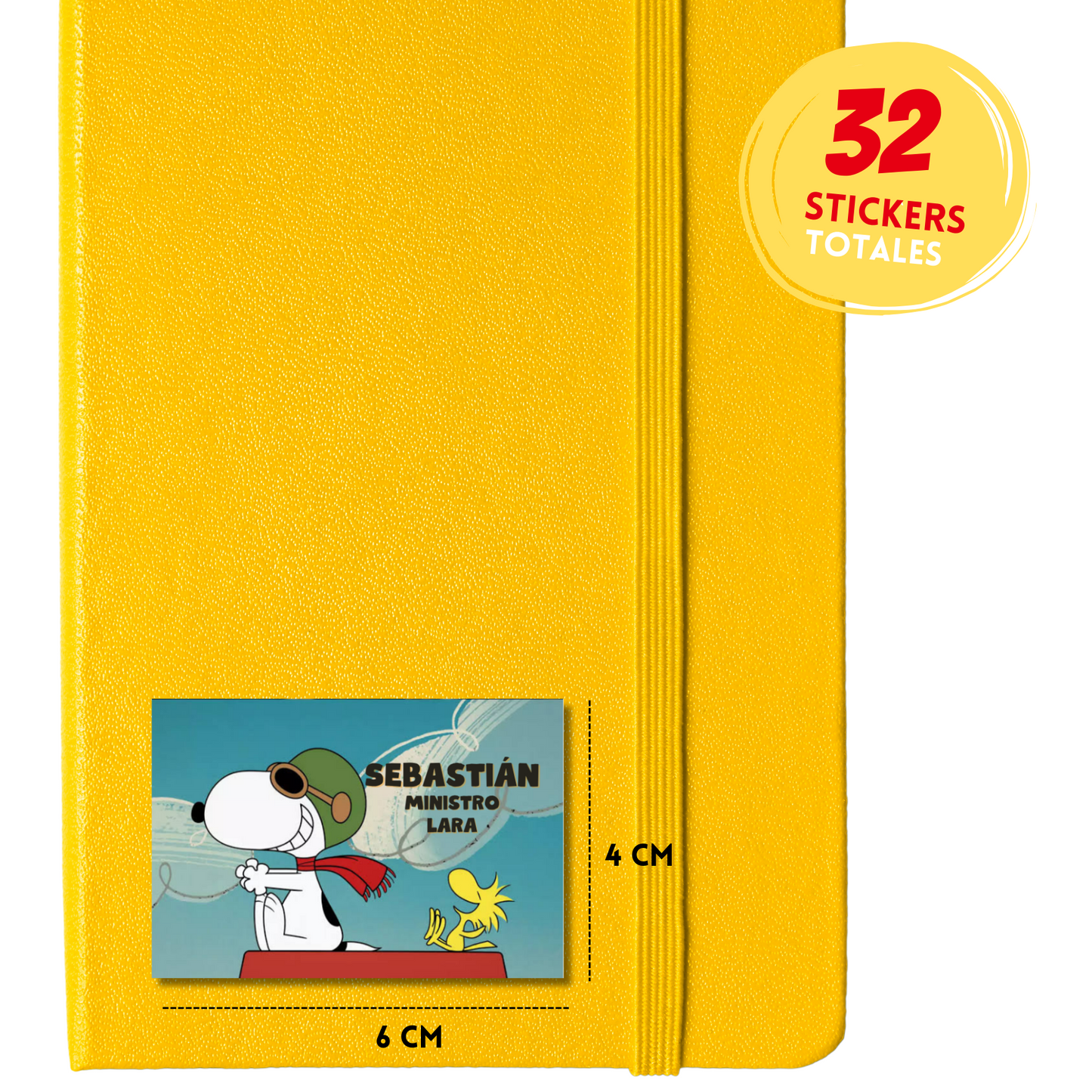 Snoopy &amp; Emilio Personalized School Labels Notebooks, Books and Pencils 